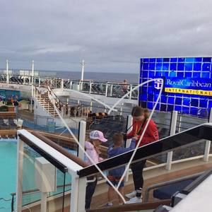 Meet your Posher, Ella